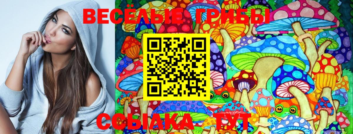 Галлюциногенные грибы Cubensis  Псилоцибиновые грибы мицелий  Верхняя Пышма  Вход с VPN 